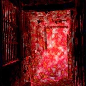 ELIMI Asylum CD