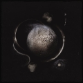 enthroned-cold.jpg