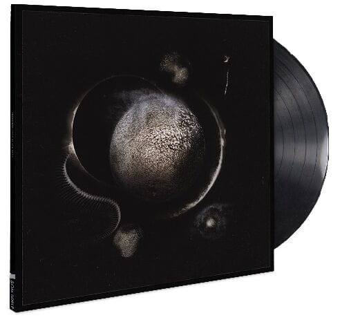 enthroned-cold-black.jpg