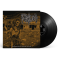 fistula-frustrations-lp.png