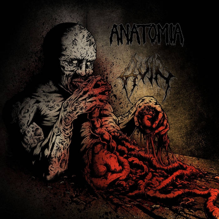 anatomia-ruin.jpg