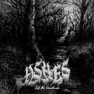 ASHES Into the Woodlands CD