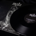 Mgla-Mdlosci-Further-down-the-nest-LP-3.jpg