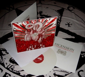 ASCENSION Consolamentum LP (WHITE)