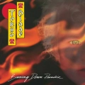 tokyo-blade-burning-down-paradise-slipcase-cd_2.webp