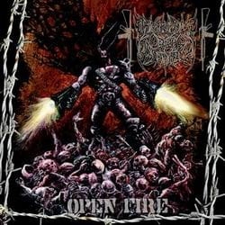 DEMONICAL CRISIS ASSEMBLY Open Fire CD