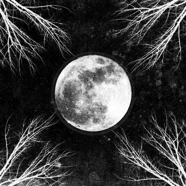 corpus-christii-palemoon.jpg